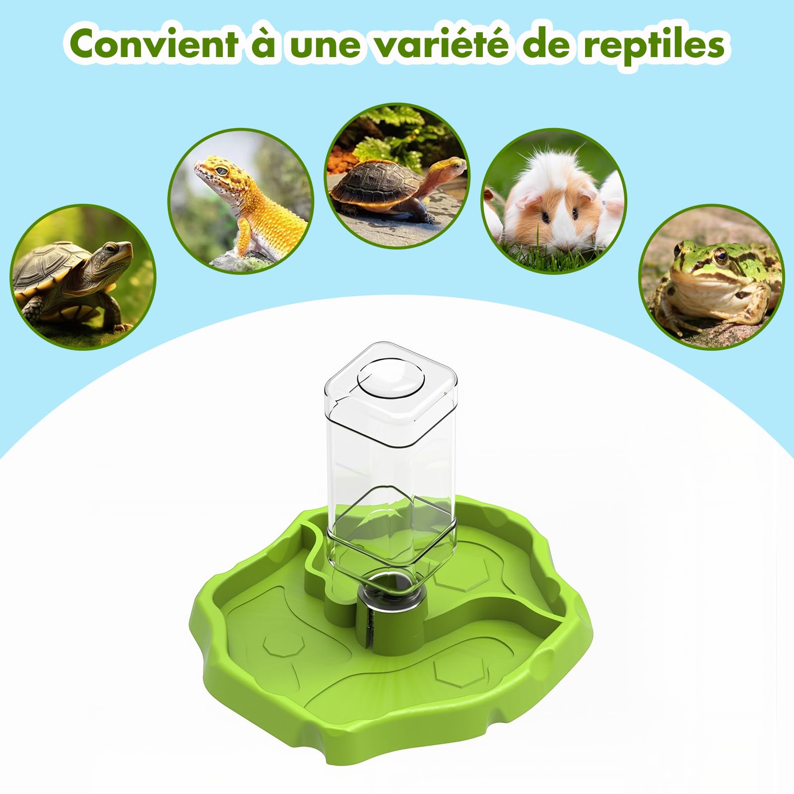 Sharplace Mangeoire pour Reptiles et Accessoires d'aquarium Conteneur Accessoire Polyvalent Mangeoire à Eau pour Reptiles Plat de Nourriture pour, Herbe Verte