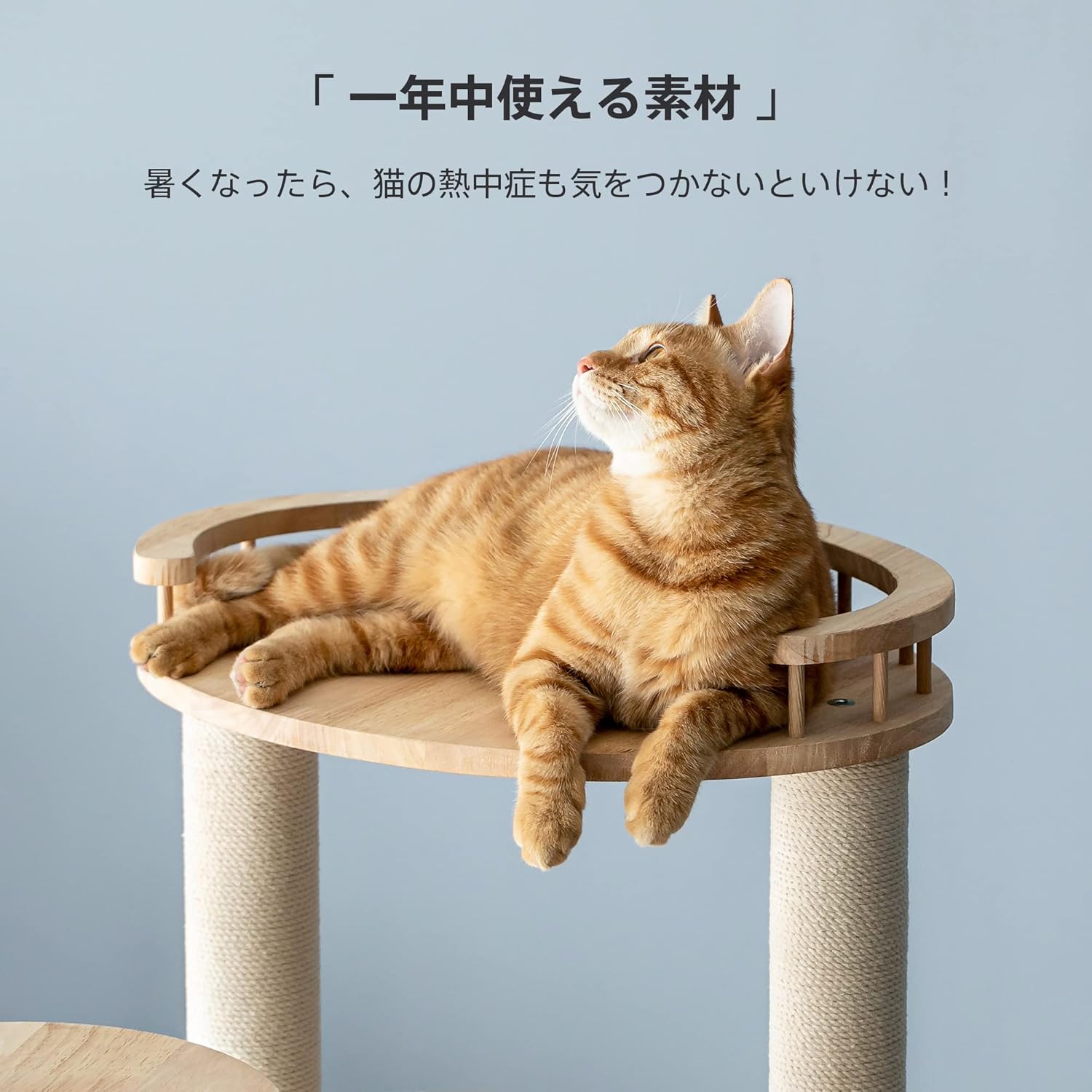 キャットタワー