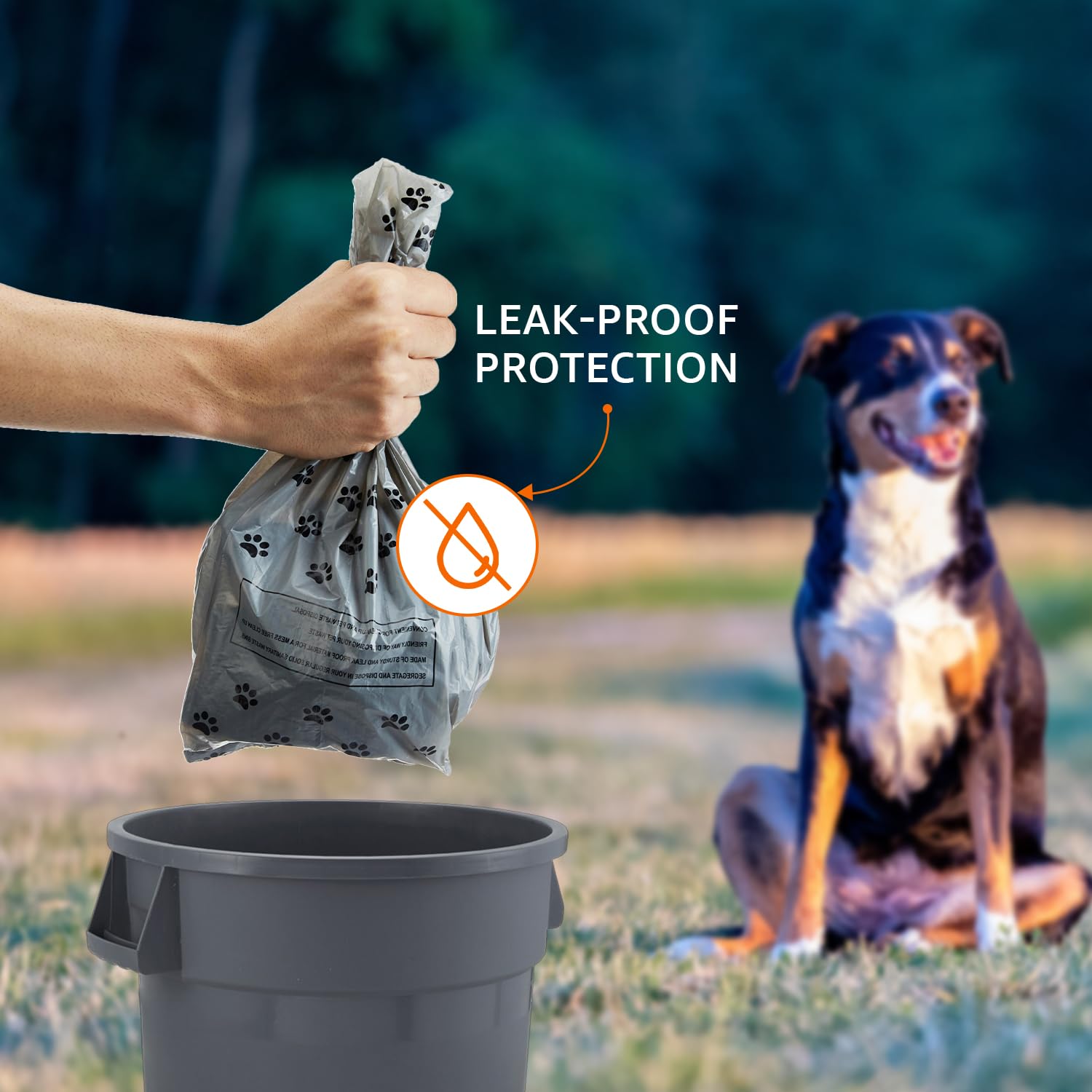 Amazon Basics Pet Poop Bags with Fun Paw Print Design | Grey | 300 Count | 30 Bags x 10 Rolls | Strong and Leak-Proof | Easy to Use | Mild Jasmine Scent 1
