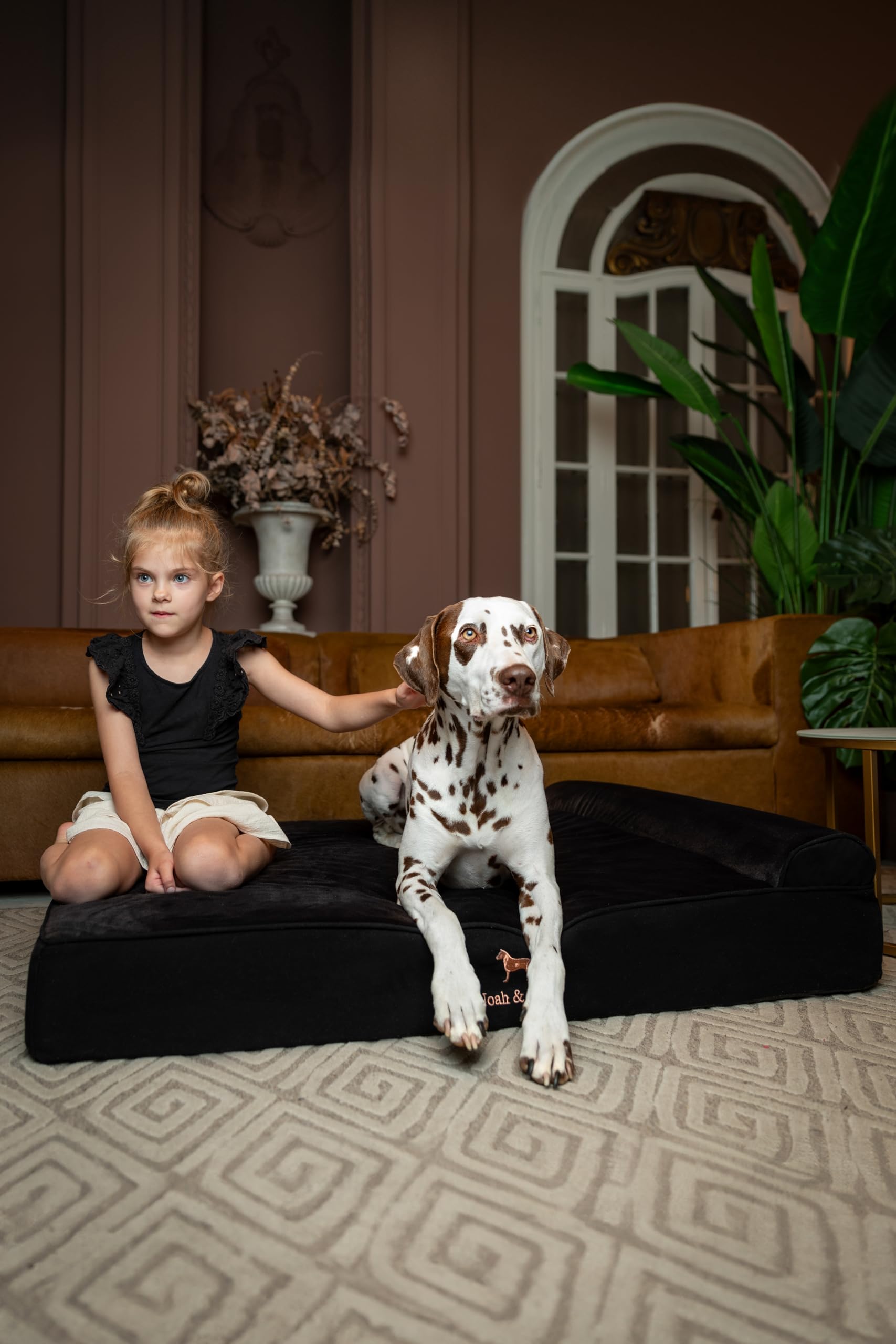 NOAH & PAW XL Dog Bed, 45x35x9.1 Inch, Orthopedic Large Dog Beds, Eggshell Memory Foam Infused with Cooling Gel, Waterproof, Machine Washable, Includes Inner Cover (Denim Collection) - image 7
