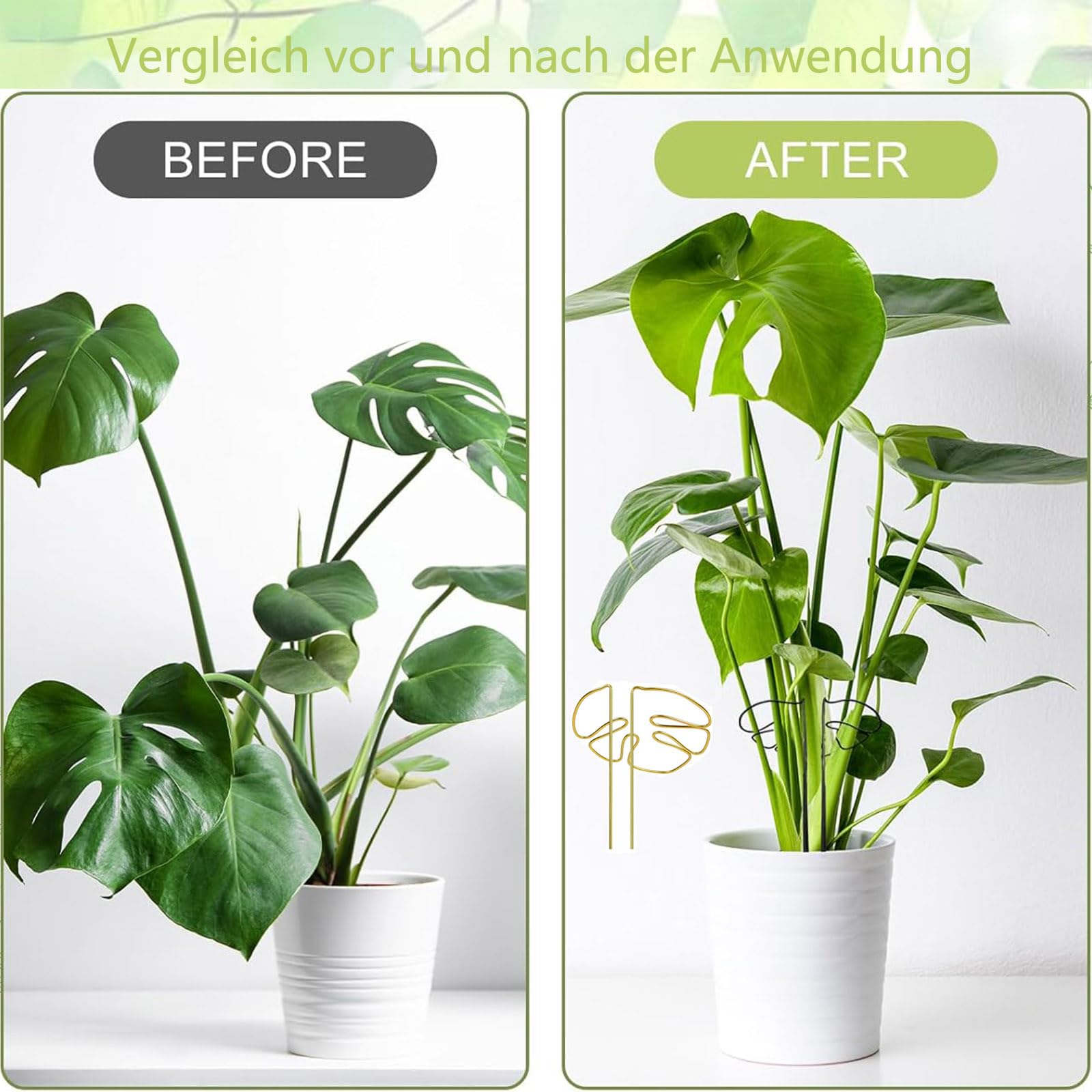 2 Stck Pflanzensttze, Rankhilfe Monstera, Pflanzenstab fr Kletternde  Zimmerpflanzen Einzigartige, Multifunktionale Pflanzenstnder fr Drinnen  und Drauen : Amazon.de: Garten