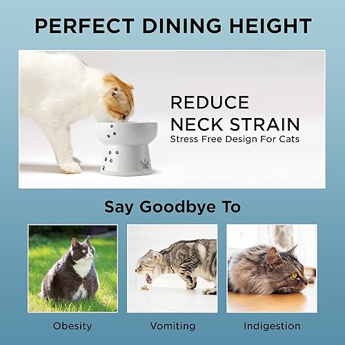 Miniatura 6 de NECOICHI Cuenco elevado para agua para gatos, elevado, con líneas de medición, apto para lavavajillas y microondas (gato, extra alto) color blanco