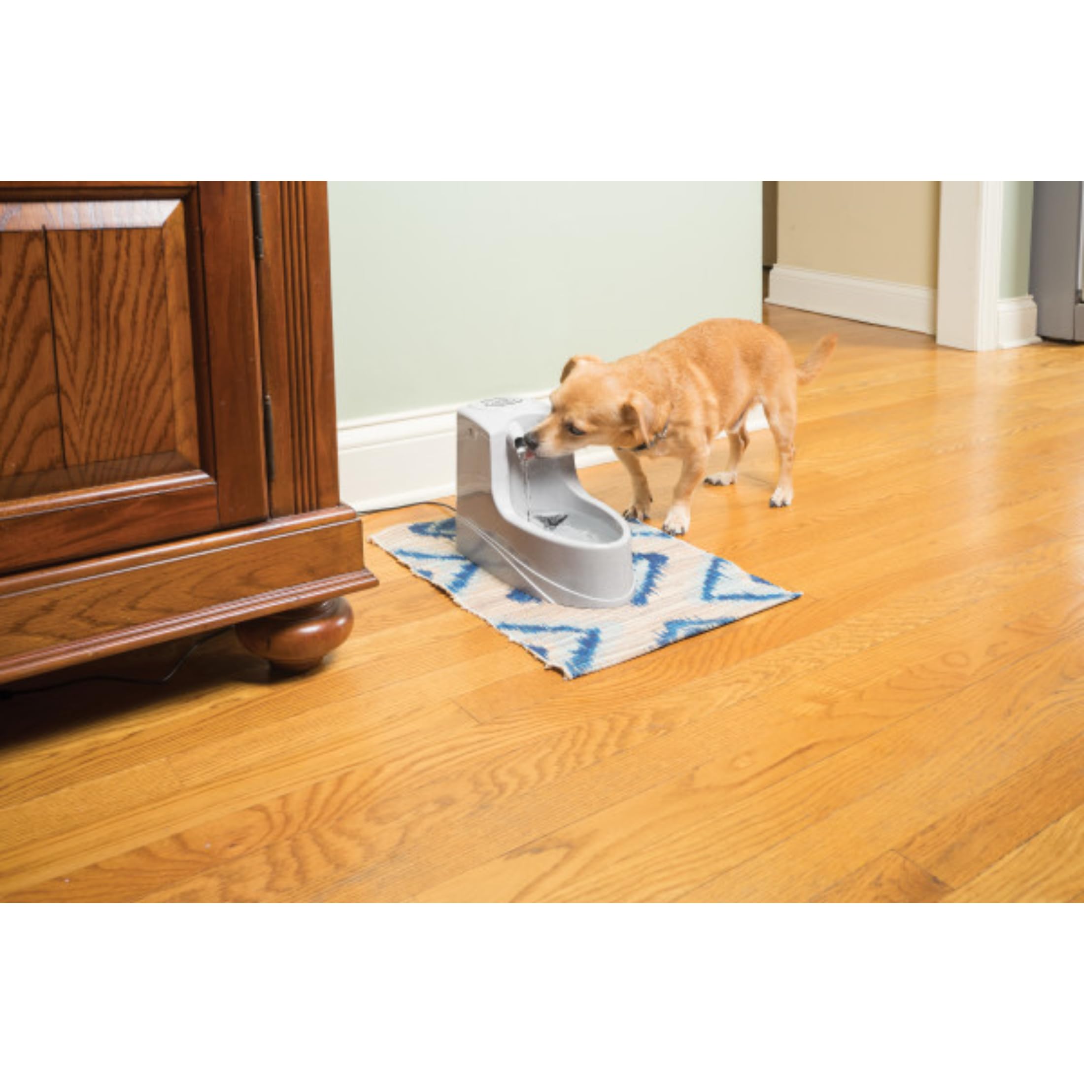 PetSafe Drinkwell mini fontanna do picia, podwójny system filtrowania, odpowiednia dla małych psów i kotów, pojemność 1,2 l