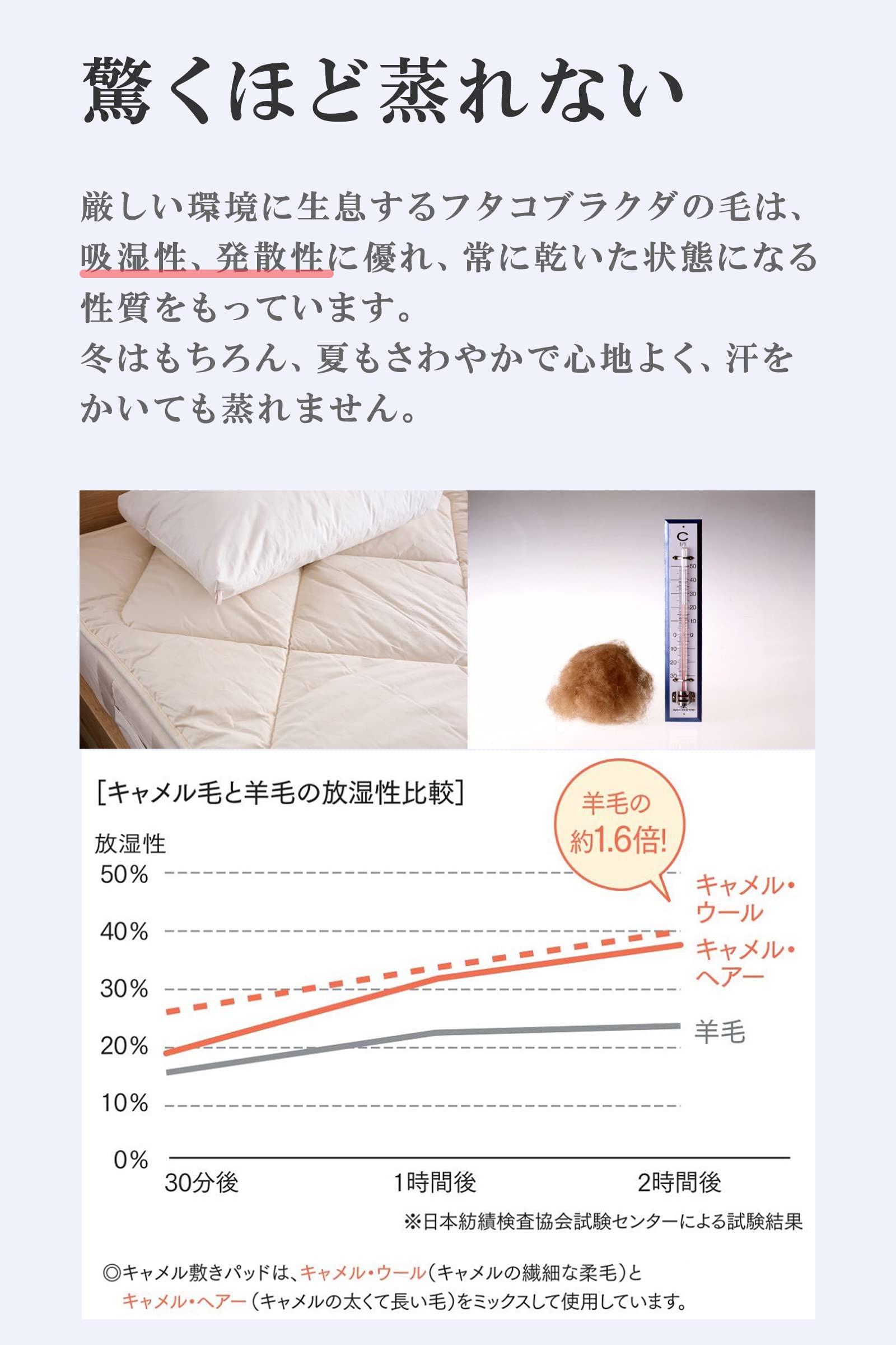 Amazon｜IWATA(イワタ) キャメル敷きパッド オールシーズン レギュラー