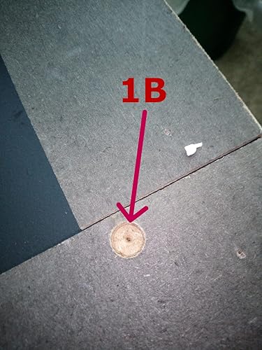 Review Image by nybrian1951