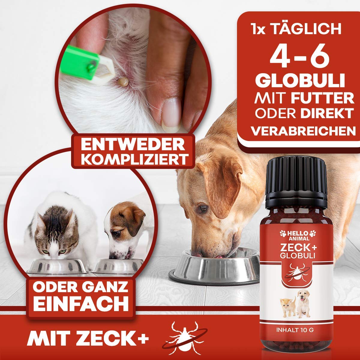Hello Animal ZECK+ - Píldoras de 10 g, protección contra garrapatas, gato y perro, apoyo vegetal para el tiempo de las garrapatas, dosificación fácil, alimento complementario natural para animales