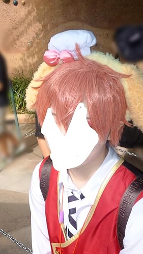 Amazon.co.jp: sakuracos 即納品 ツイステ エース コスプレウィッグ