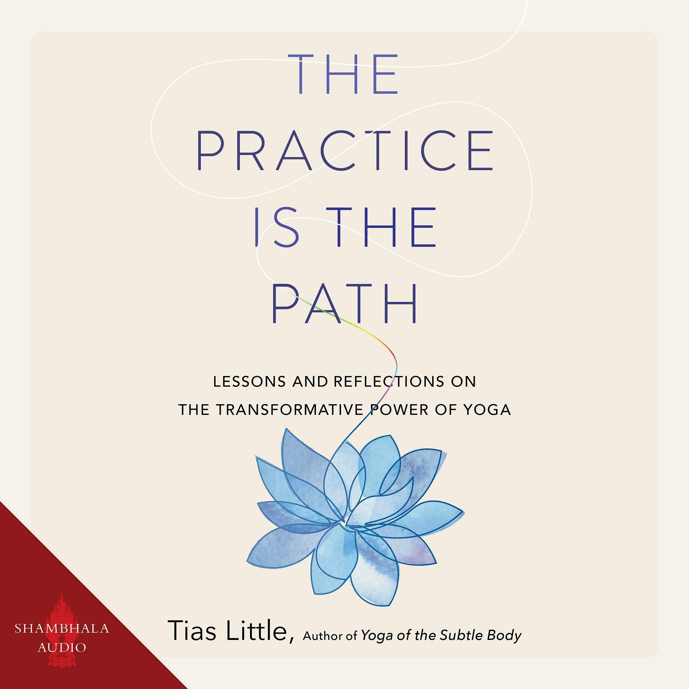 Cover art for The Practice Is the Path