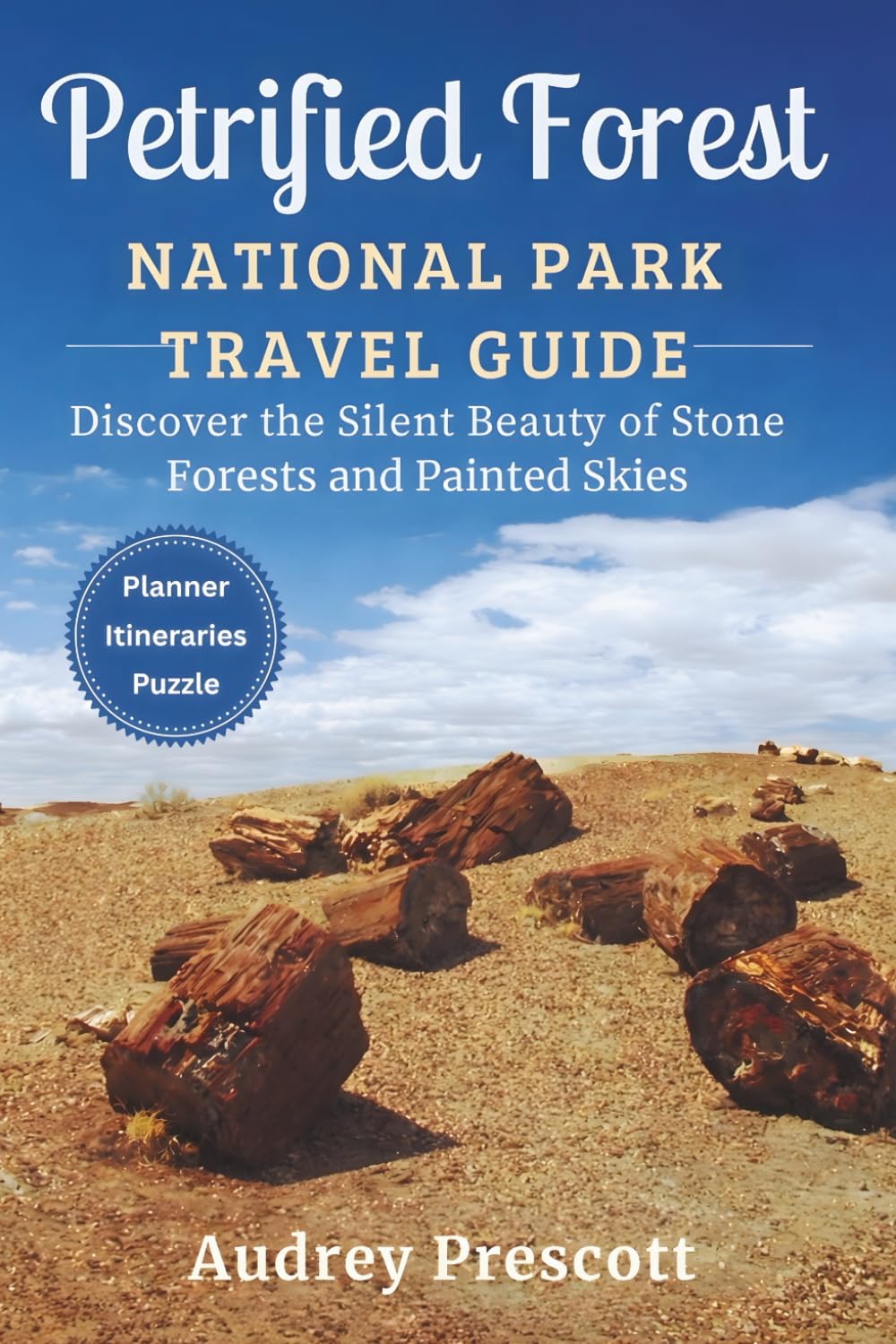 Petrified Forest National Park Travel Guide: Discover the Silent Beauty of Stone Forests and Painted Skies