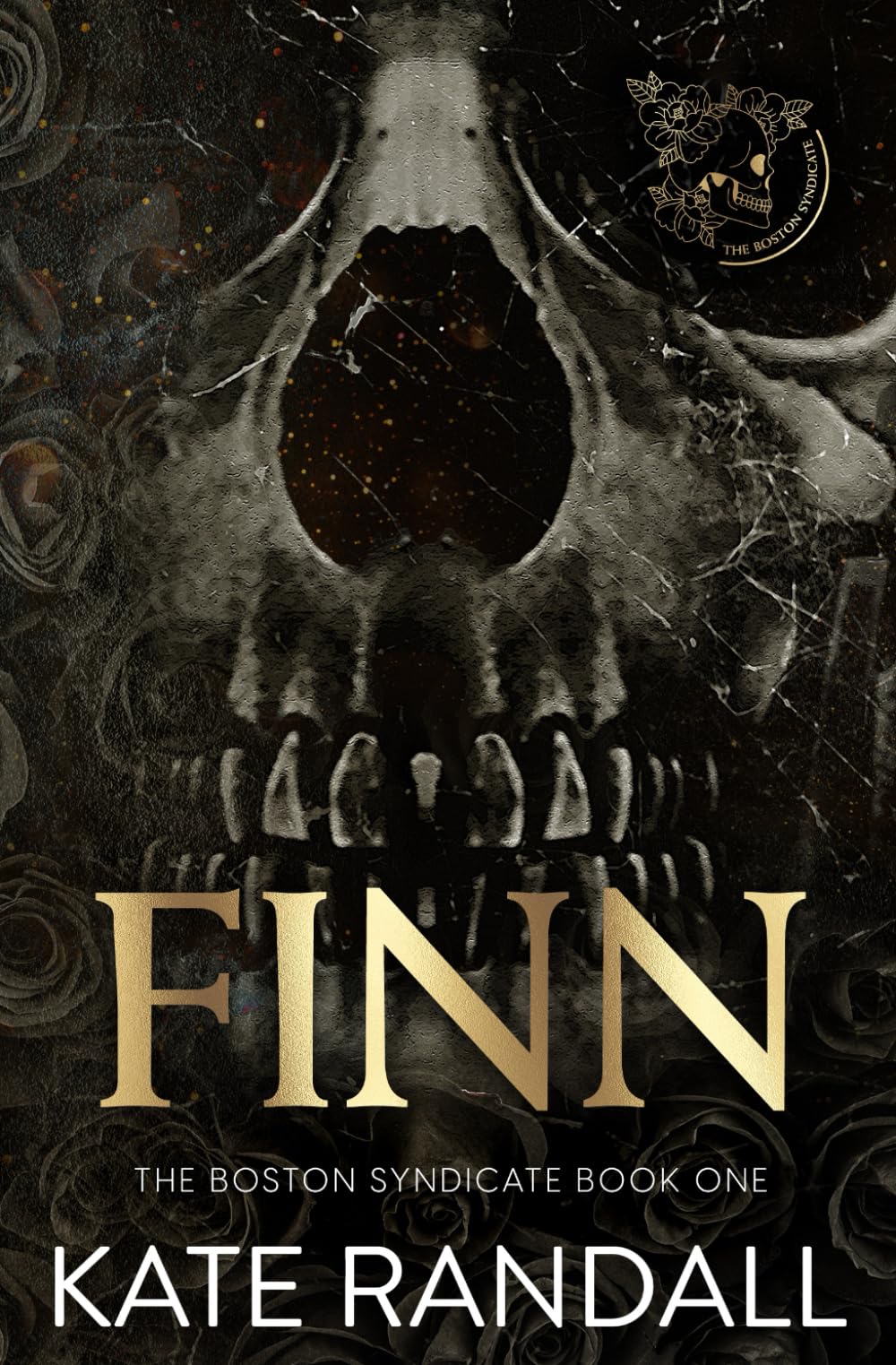 Finn: The Boston Syndicate, Book One: 1