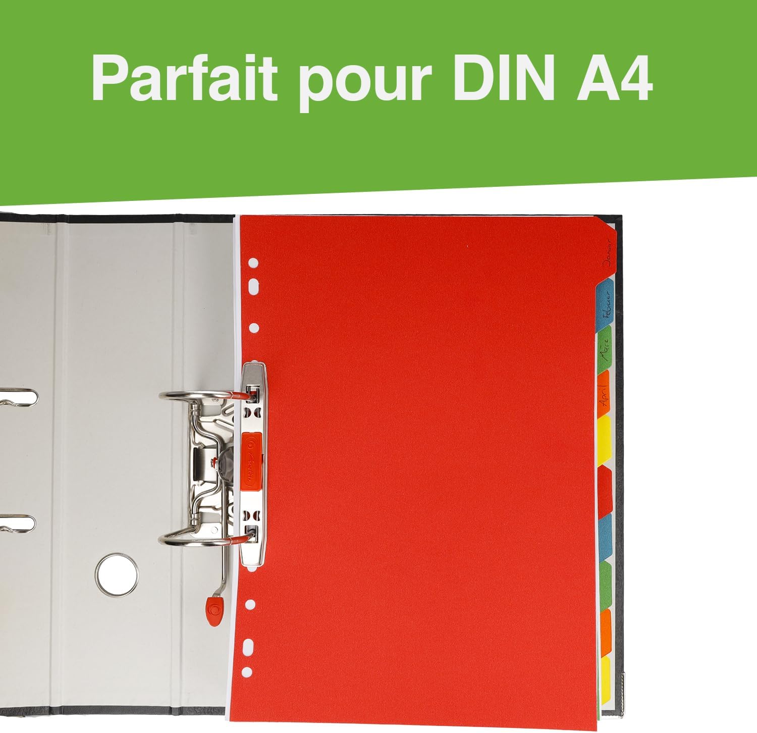 Westcott Intercalaires pour classeurs A4 | Séparateurs pour classeurs A4 | 10 onglets de c - Analyse des détails et conception