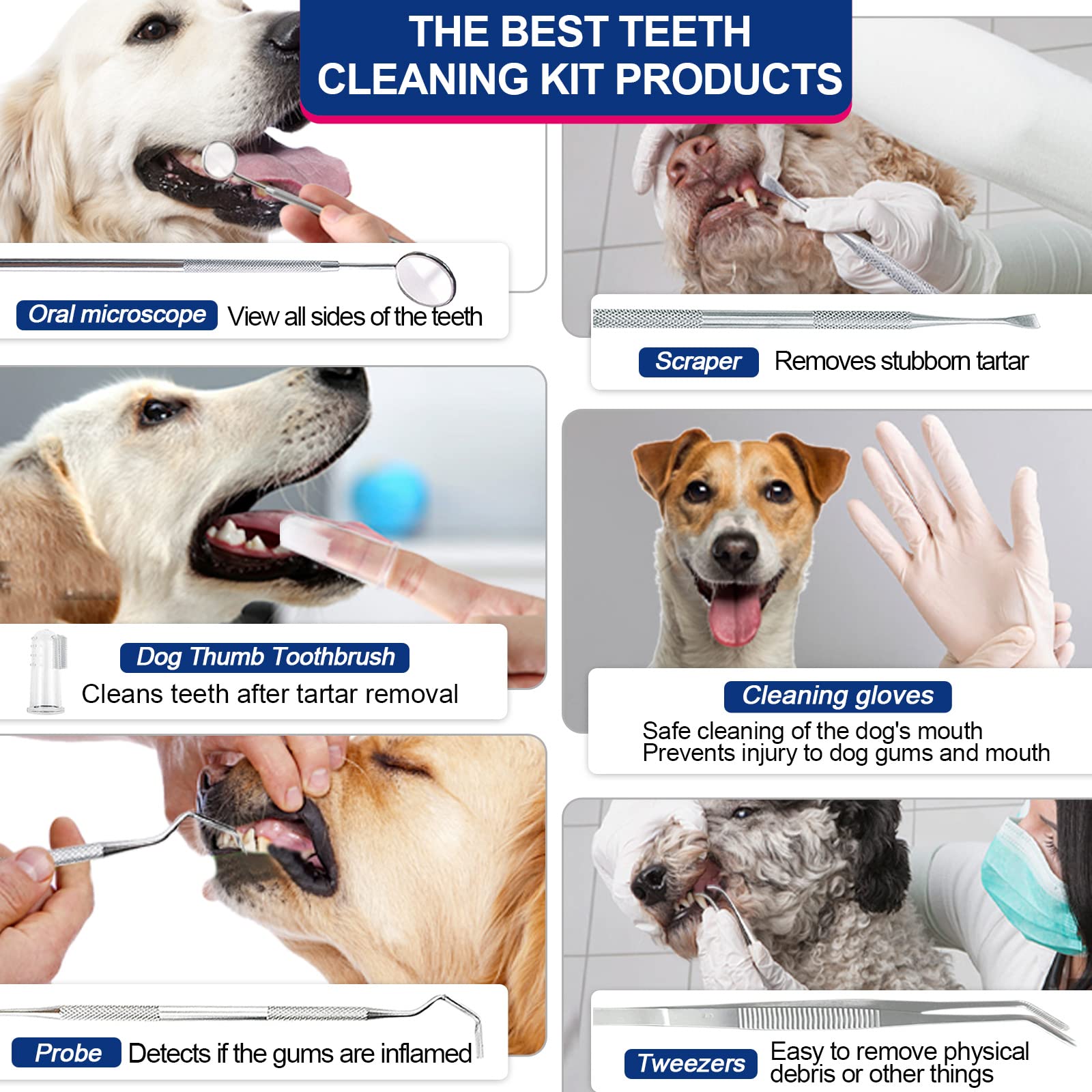 Best Dog Teeth Cleaning Products atelieryuwa.ciao.jp