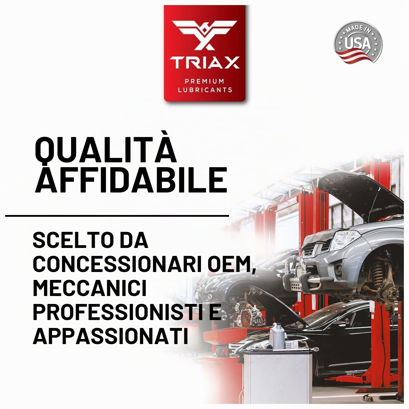 TRIAX DTF-2 Professional SAE 75W-85 GL-5 – Olio Cambio Sintetico per Assali, Differenziali, Trasmissioni e Ingranaggi Ipoidi a Slittamento Limitato, Riempimento a Vita 2x0,946 L (2x1 quart)