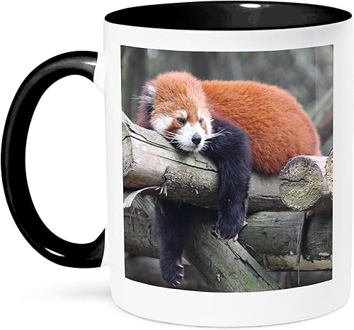 3dRose Adorable panda rojo, provincia de Sichuan, taza de dos tonos, 11 onzas, negroblanco