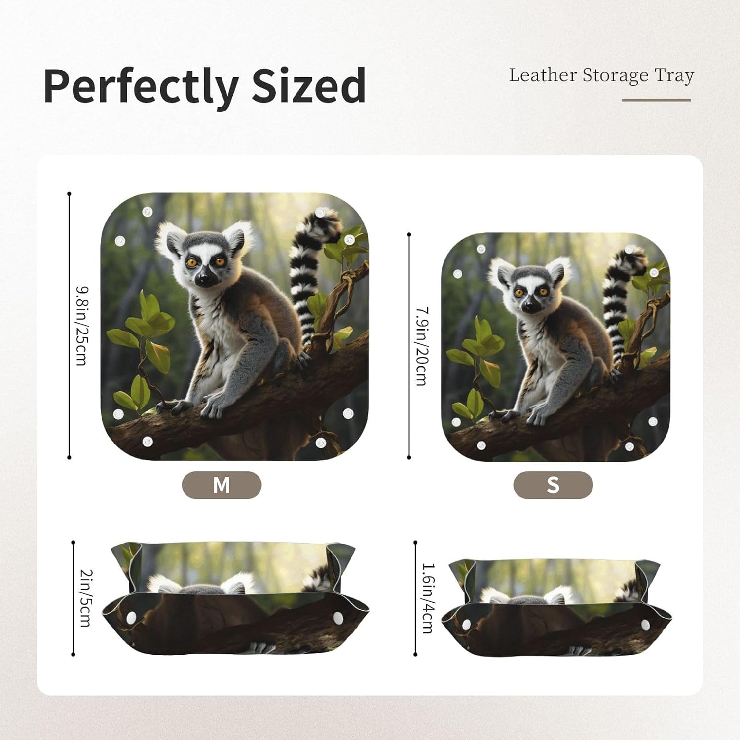 Ringtailed Lemur Small Valet Tray Desktop Storage Organizer Pu Leather Catchall Bedside Vanity Tray 9.8x2 Inch Nightstand Caddy Holder for Remote Controller, Keys, Phone image 2