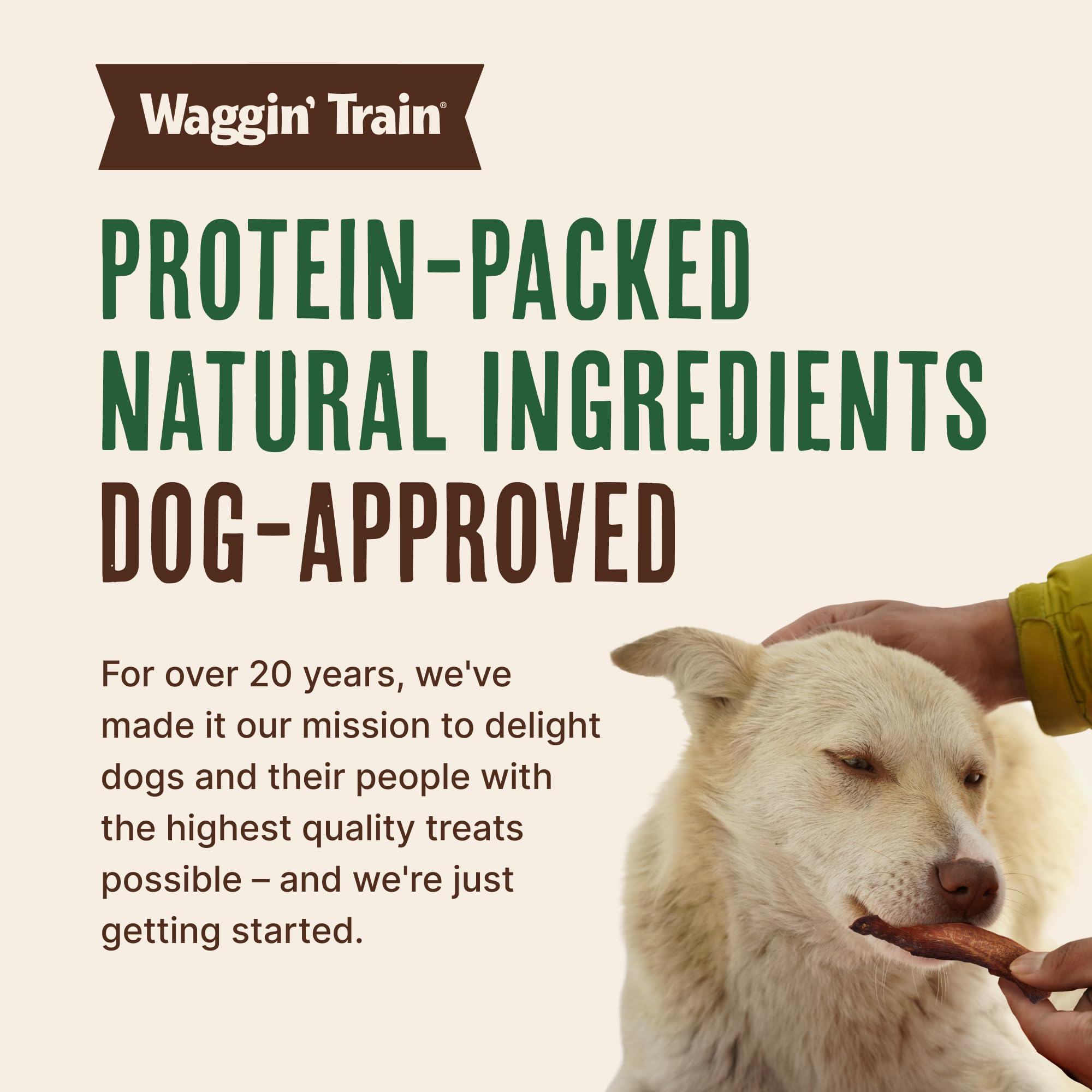 Waggin' Train Salmone Jerky Tenders per il sostegno della pelle e del pelo per cani, 340 ml, senza cereali, ricca di proteine