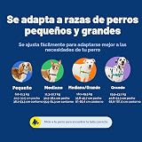 Ver la foto 6
