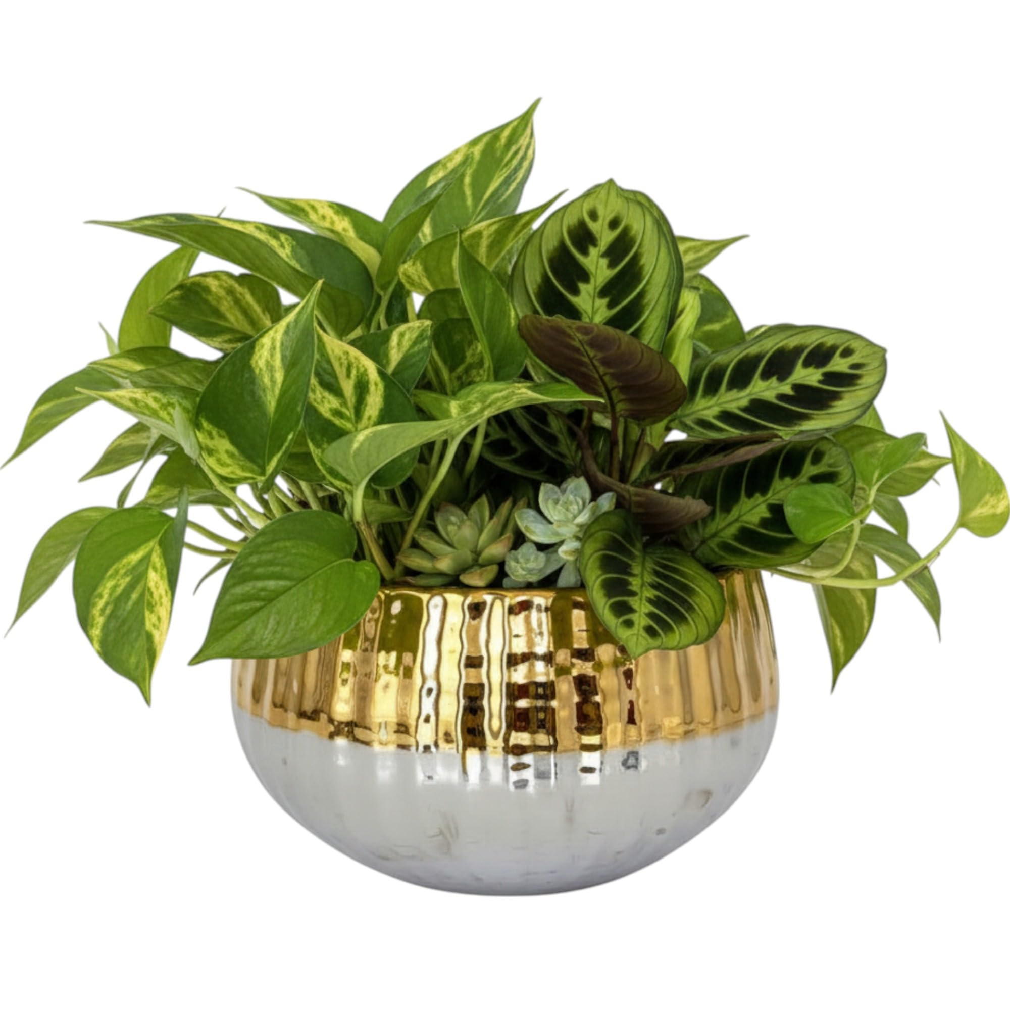 Garden Art Ceramic Pot - Home & Office Decor -4 Garden Art Ceramic Pot - Home & Office Decor -4
