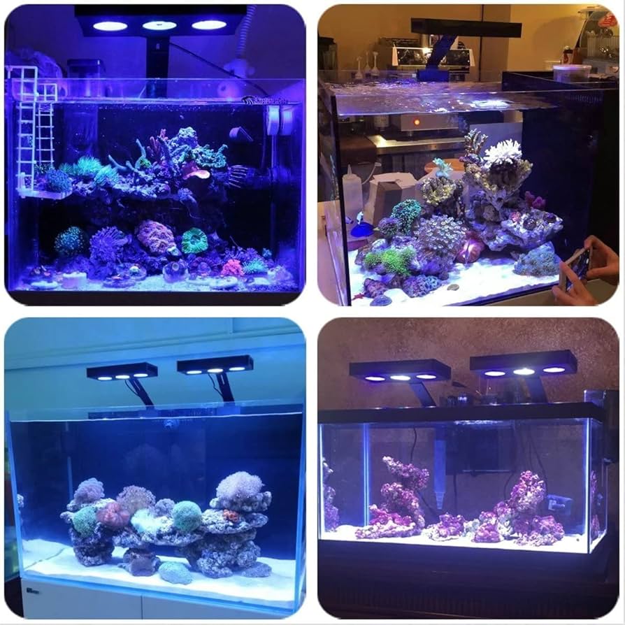 海水魚　サンゴledライト.ニッソータイマー、レディオクランプ トリプル 3口 海水魚サンゴledライト.ニッソータイマー、レディオクランプ
