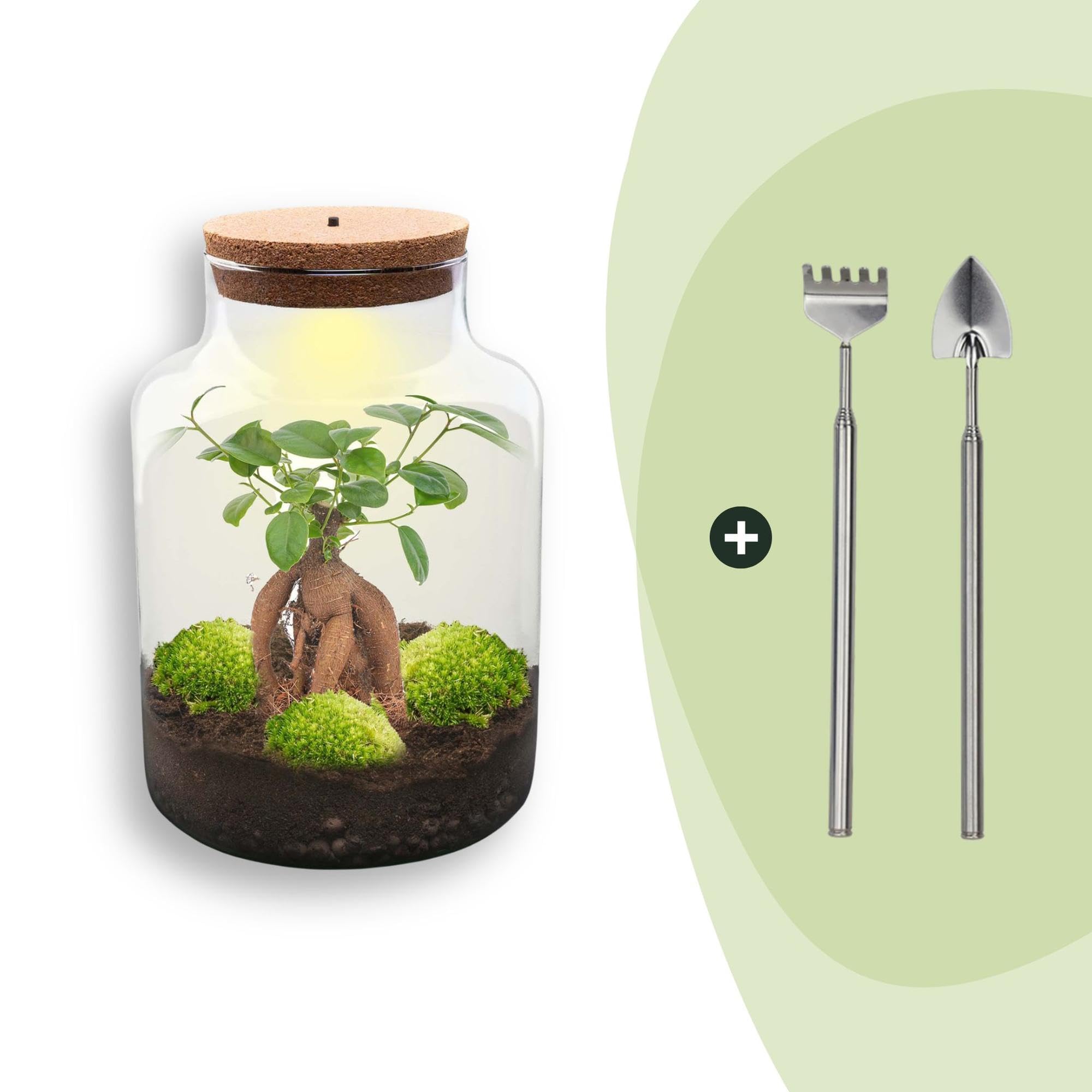 DIY Pflanzen-Terrarium mit Licht aus Glas, für Zuhause, Grün, Ø 21 cm Set