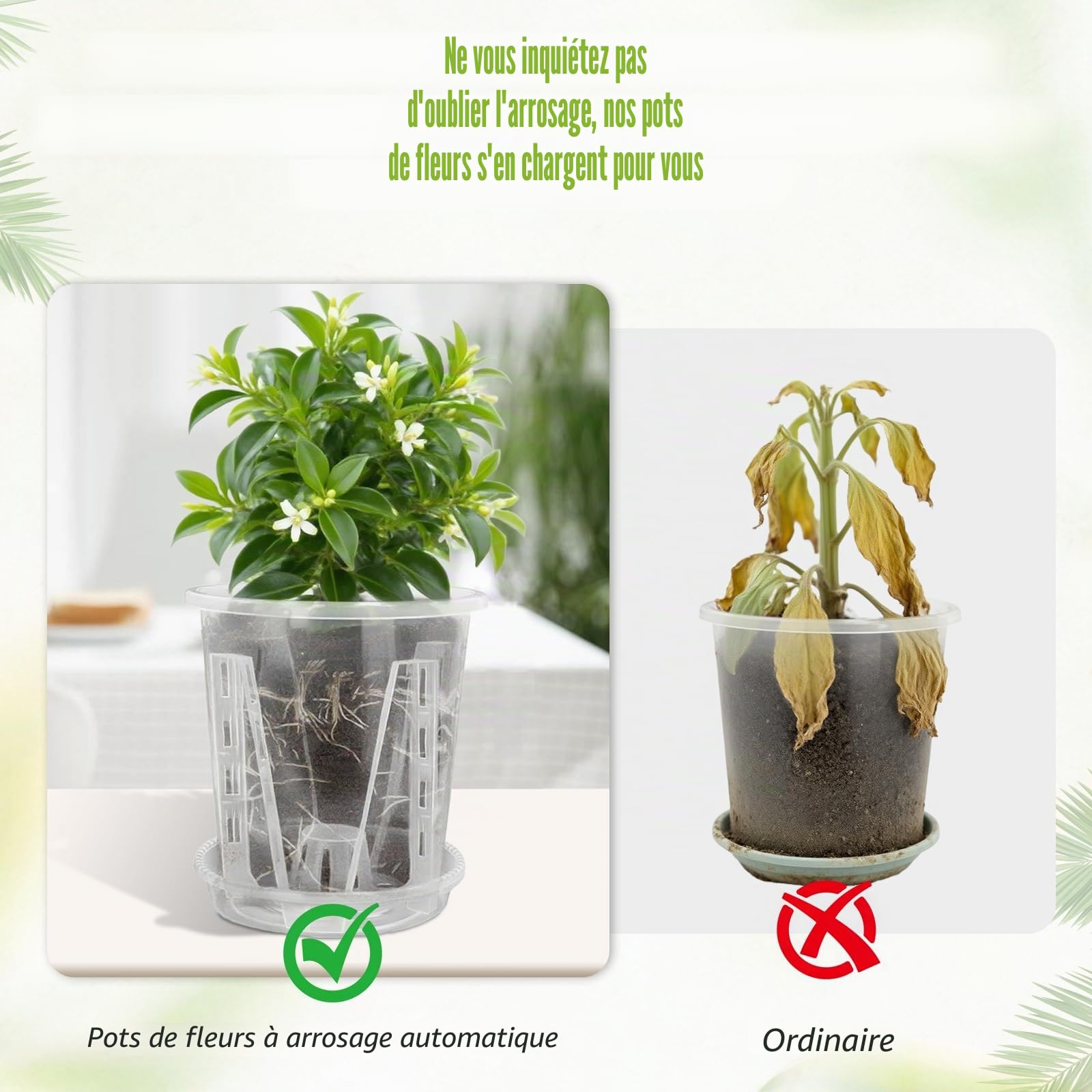 Cable Leader Lot de 3 Pots à orchidées Transparents en Fleur Plastique | pot orchidée avec trous de drainage, perméables à l'air pour plantes et fleurs en intérieur et en extérieur (14 cm + plateau)