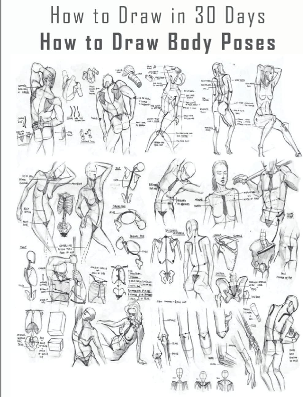 How to Draw in 30 Days: How to Draw Body Poses, How to Draw Body Poses Step by Step, How to Draw Body Poses Easy, Draw Body Poses Step by Step, Draw ... Draw Body Poses Easy, Learn to Draw Animation