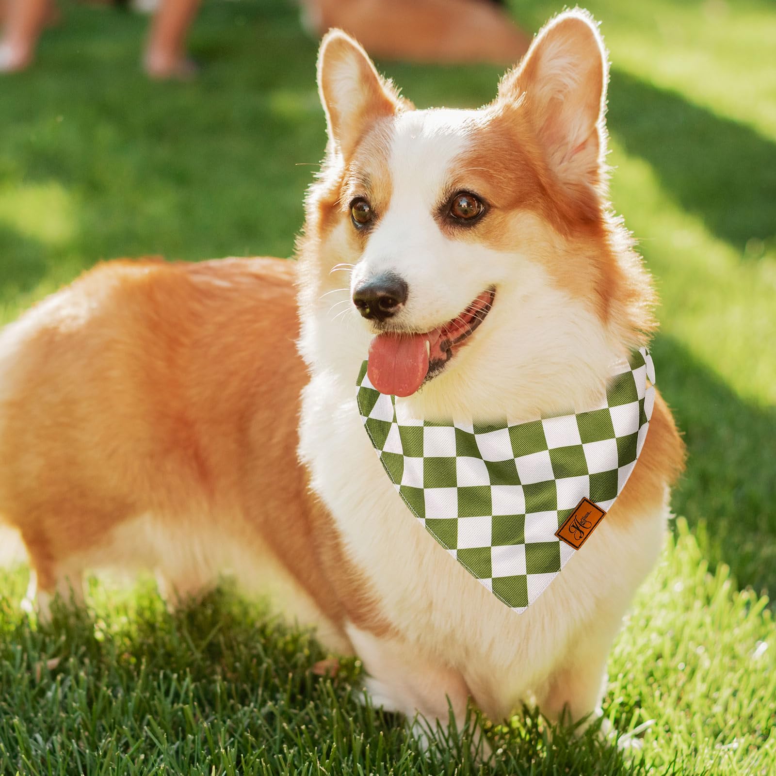 Kariertes Hundetuch Aus Weichem Polyester – Verstellbar Für Mittelgroße Hunde & Katzen, Perfekt Für Alltag & Fotos