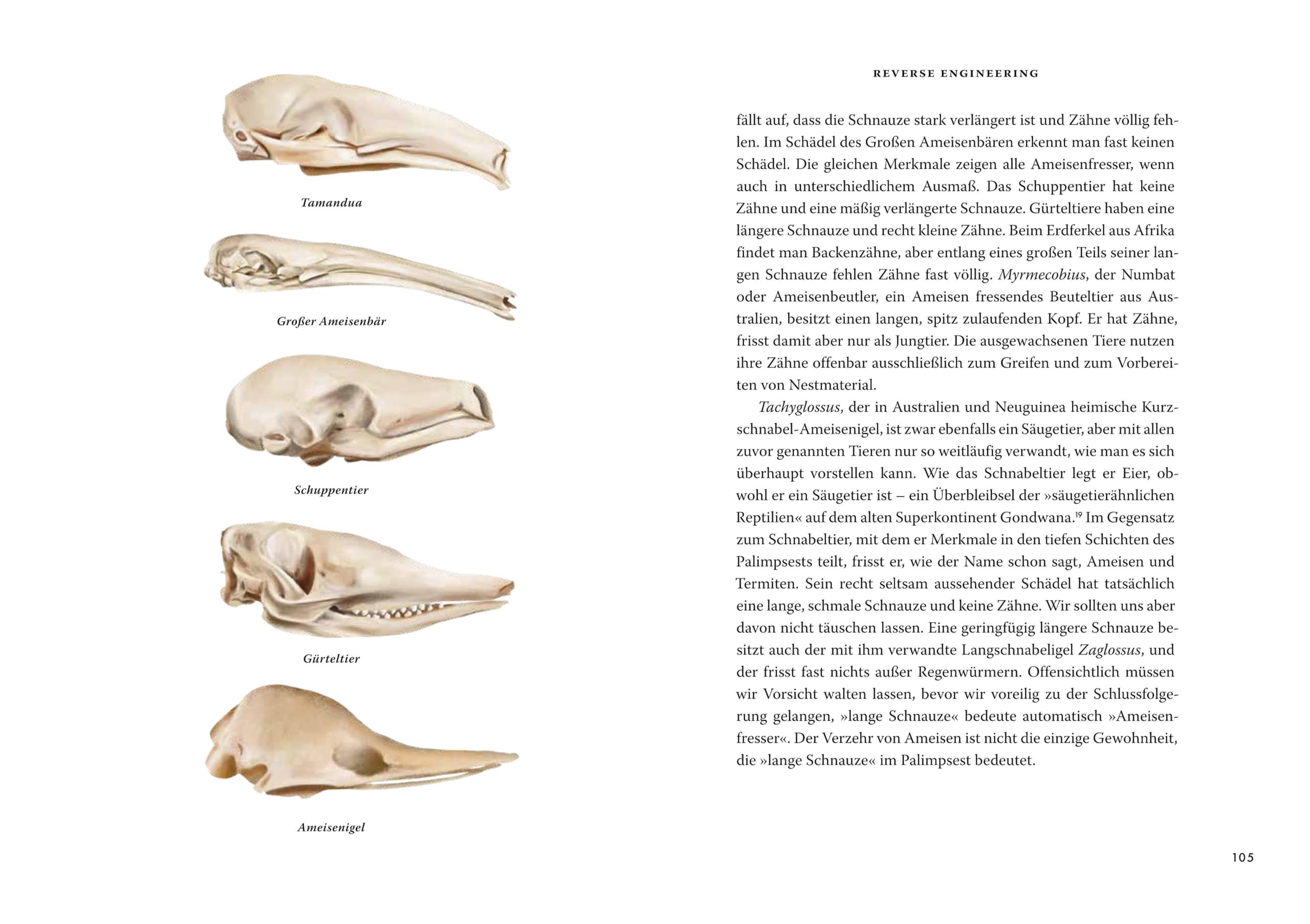 Das große Buch der Evolution: Eine neue Sicht auf die Entwicklung des Lebens