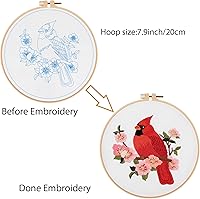 Vista 4 de Kits de bordado Cardinal de Louise Maelys para principiantes con patrón de pájaros y flores, kit de punto de cruz para principiantes de DIY