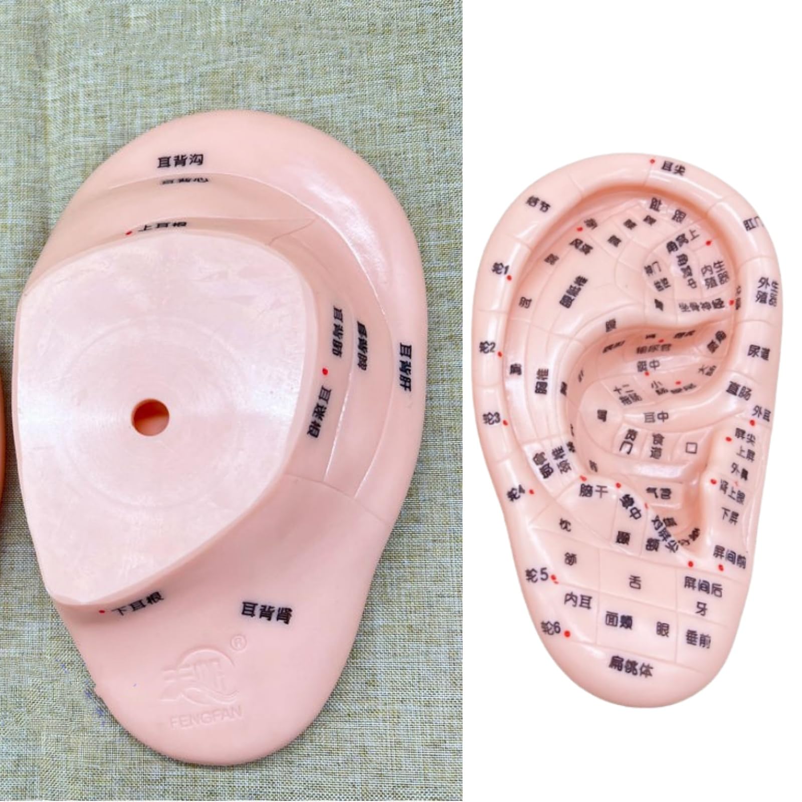 〇Od54 未使用保管品 鍼 ツボ モデル 手 耳 足 3点まとめ 〇Od54 未使用保管品 鍼 ツボ モデル 手 耳 足 3点まとめ