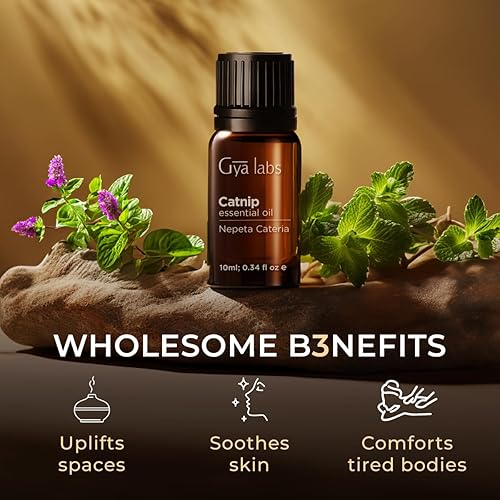 Vista 388 de Aceite esencial, 100 % puro, grado terapéutico para aromaterapia, cuidado de la piel y cabello, para difusores, 10 ml.