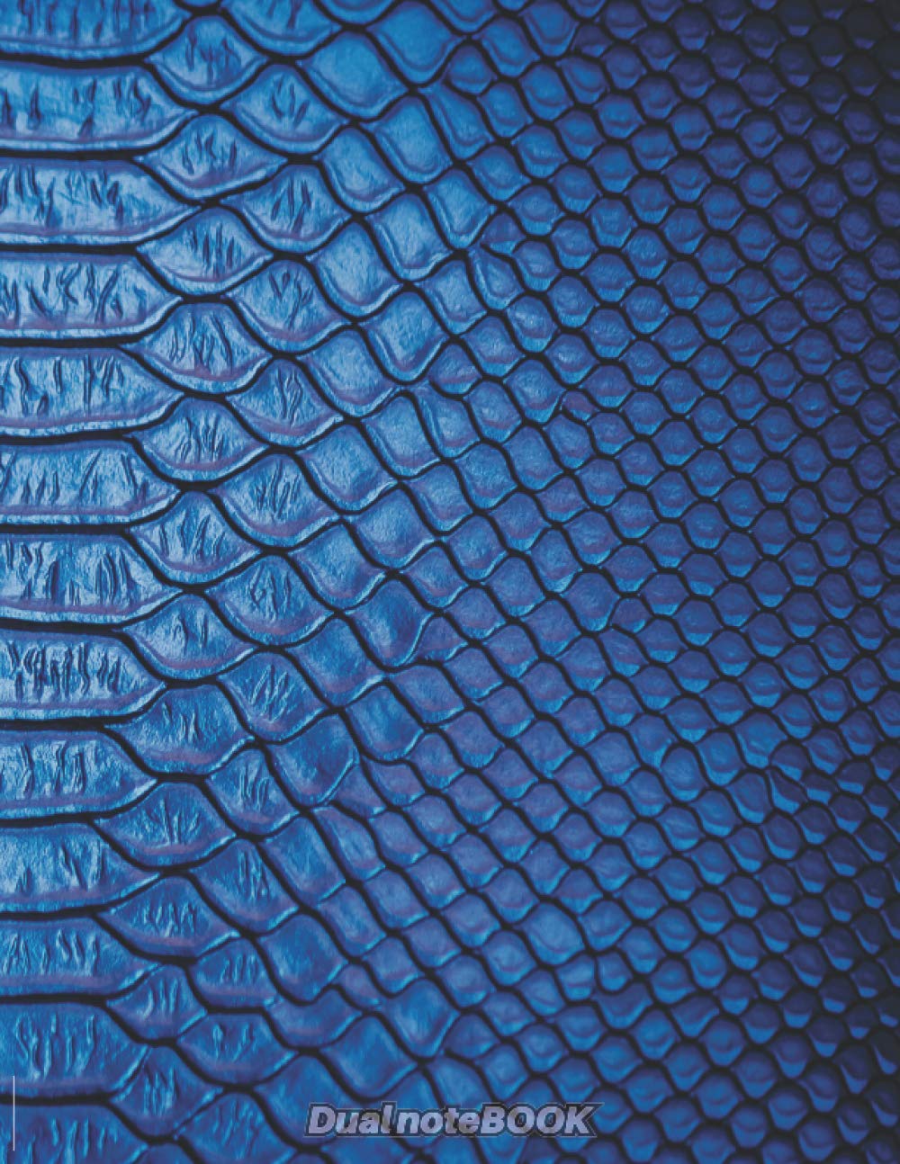 Dual noteBOOK: blank and lined journal with alternating pages | sketchbook for jotting down notes, drawing, sketching, and creative writing | 8.5'' x ... cover | Snake skin design (Dual Notebooks)