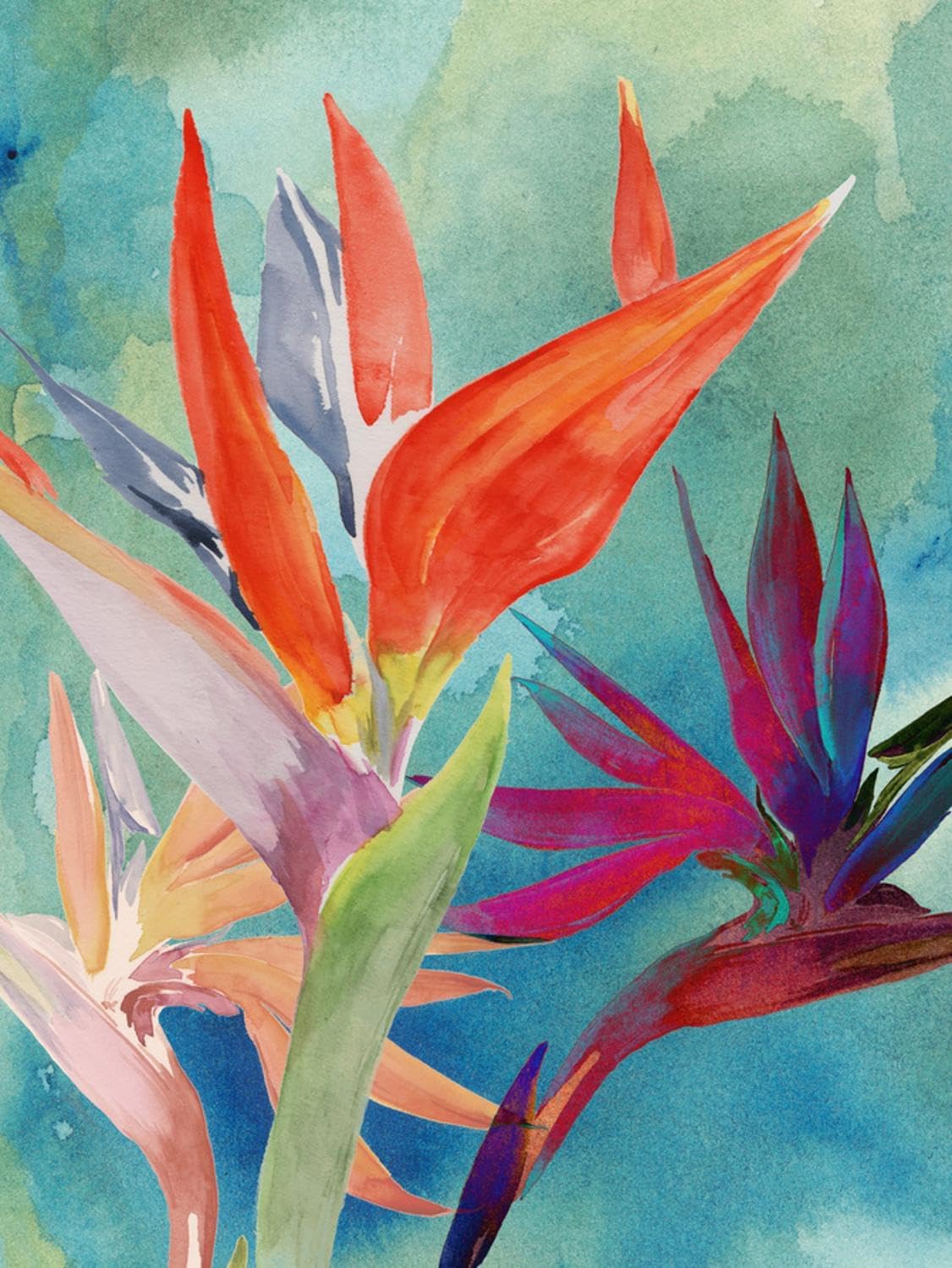 ART.COM Wall Art Print Vivid Birds of Paradise I by Jennifer Paxton Parker, 18" x 24"