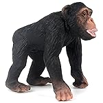 FUNSHOWCASE African Jungle Animals Walking Chimpanzee Toy Figure Realistic Miniature Height 2-inch 1664