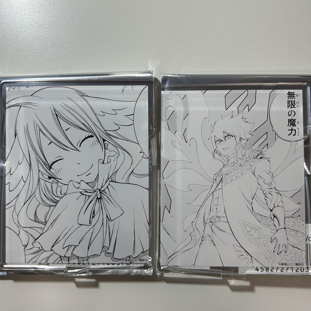 フェアリーテイル クリアファイル プリンセスカフェ】FAIRY TAIL