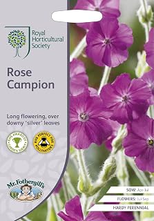 Mr Fothergills - Flower - RHS Rose Campion - 500 Seeds