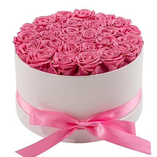 Otuo 27 Piece Preserved Roses in a Box - Forever Flowers for Delivery Prime, Eternal Roses Mothers Gifts for Mom, Valentine's Day, Wife Anniversary Birthday Gifts for Women(Pink)