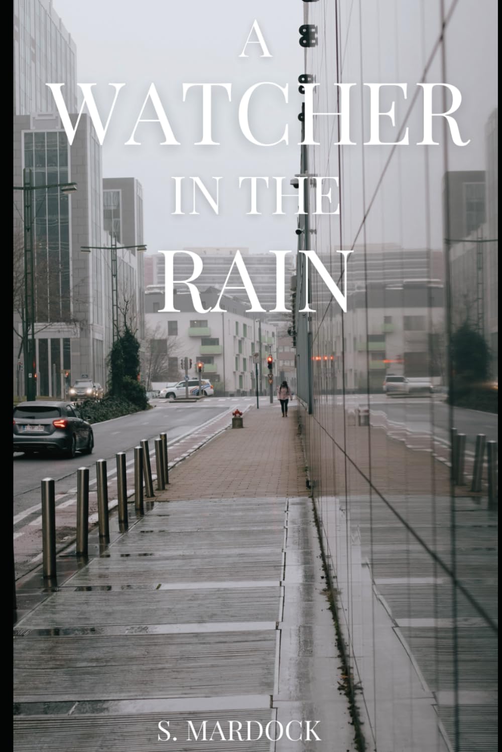 A Watcher in the Rain