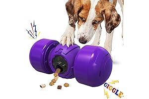 Funny Giggle Treat Twist 'n Treat Dog Puzzle Toy