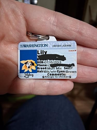 Driver License for Dogs - Dog License Tags Personalized for Pets
