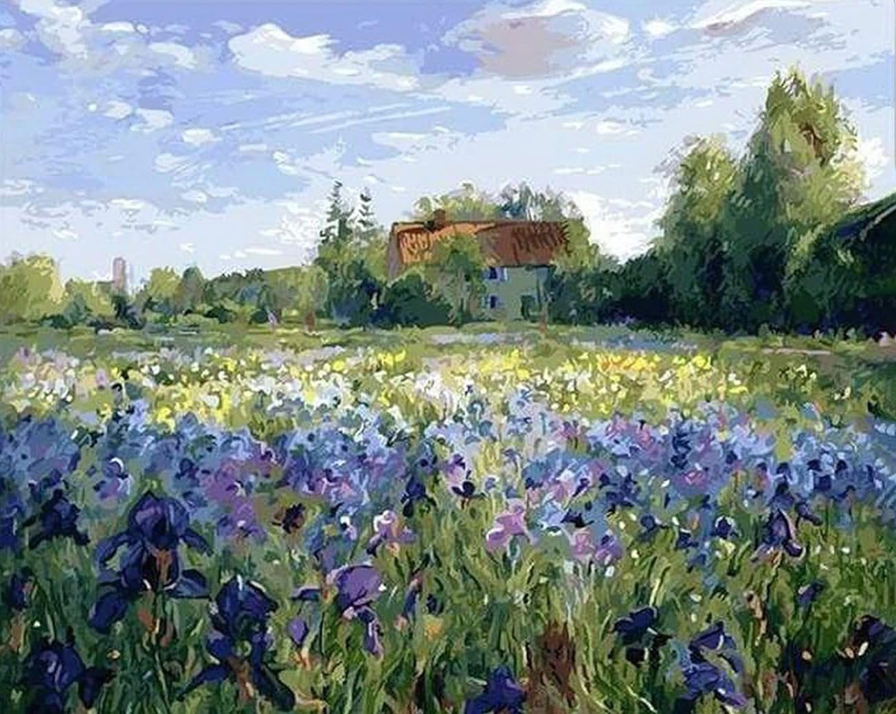 Huimanhe Flowers Paint by Numbers Kit for Adults,Field DIY Painting Kits on Canvas, Color by Numbers,Large Adult Paint by Number for Gifts,Home Wall Decor
