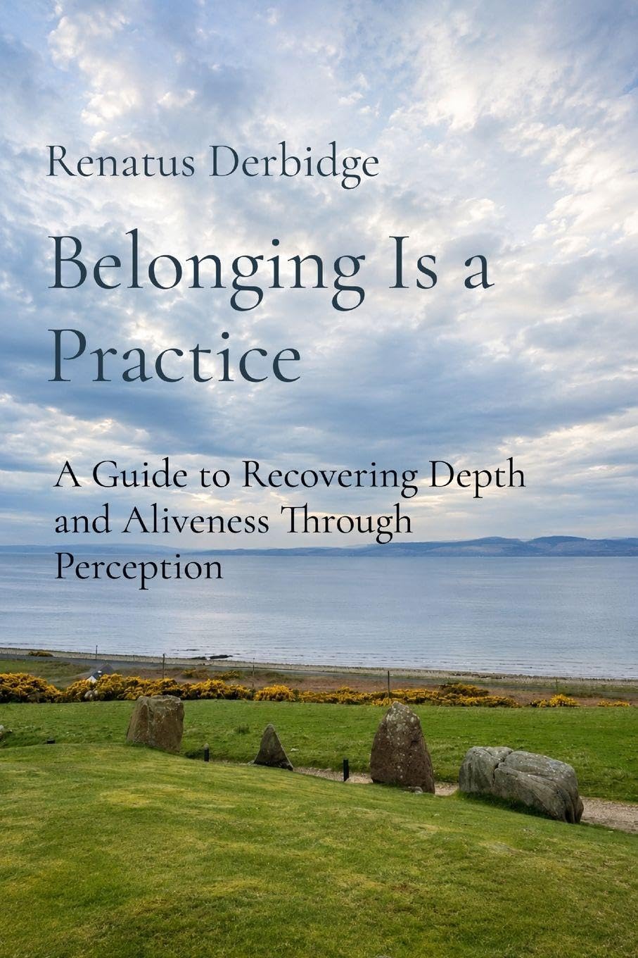 Belonging Is a Practice: A Guide to Recovering Depth and Aliveness Through Perception