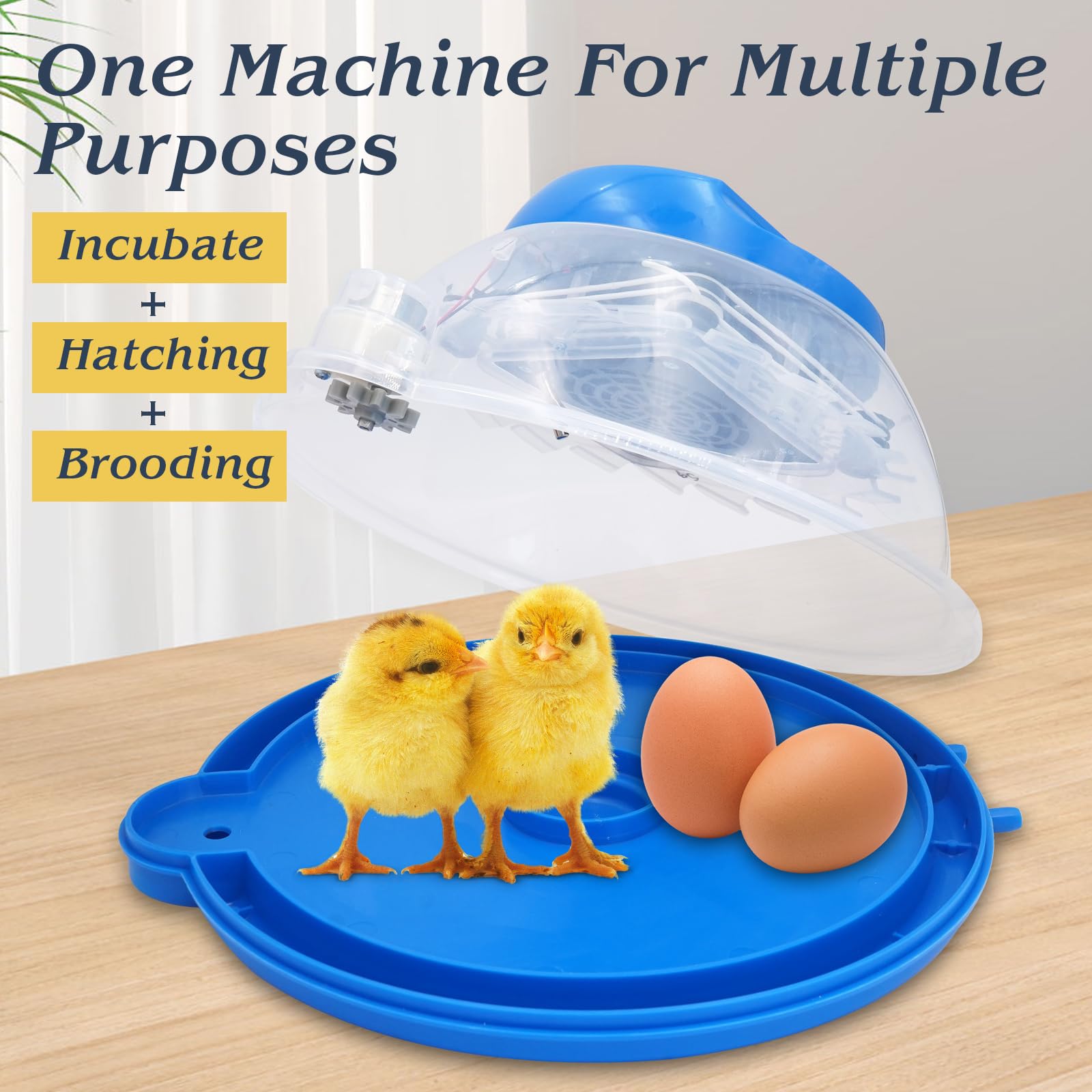 Incubadora Huevos Gallina Automatica,Incubadora Para 8 Huevos, Incubadora Para Giro AutomáTico de Huevos y Control de Temperatura, Pantalla LED Digital, Adecuada Para Patos Gansos Palomas Codornices