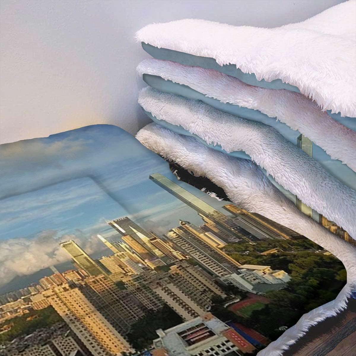 review Brown Blue Thermal Pet Mat Bed Liner Aerial View of City Skyline at Dusk Large Dog Bed Pad Pets Sleeping Bed Soft Warm Fluffy Kennel Pad Denver Panoramic 19