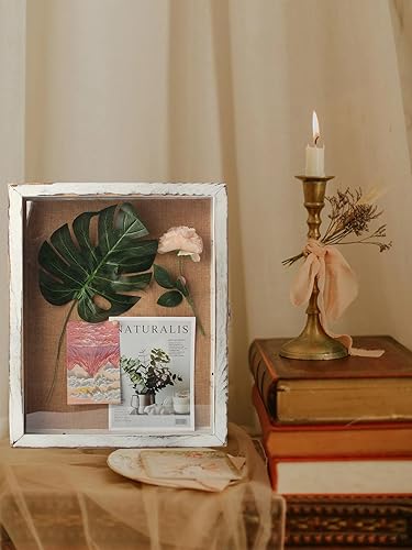 Miniatura 3 de Marco grande de caja de sombra de 14 x 17 pulgadas con estantes, vitrina de sombra profunda con 4 estantes móviles, se utiliza para recoger