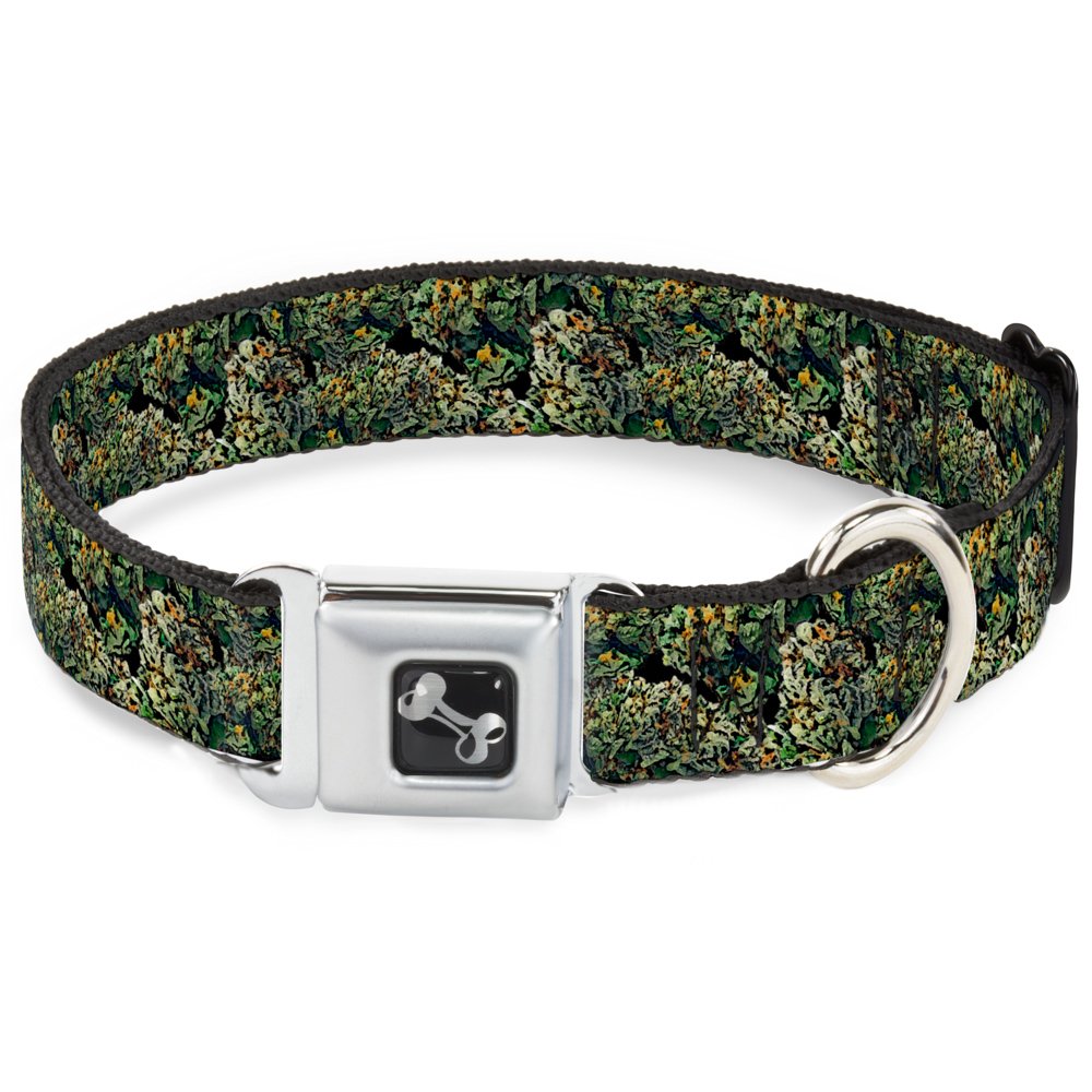 Collier de chien Buckle Down Dc-w31430-ws ceinture de sécurité petite