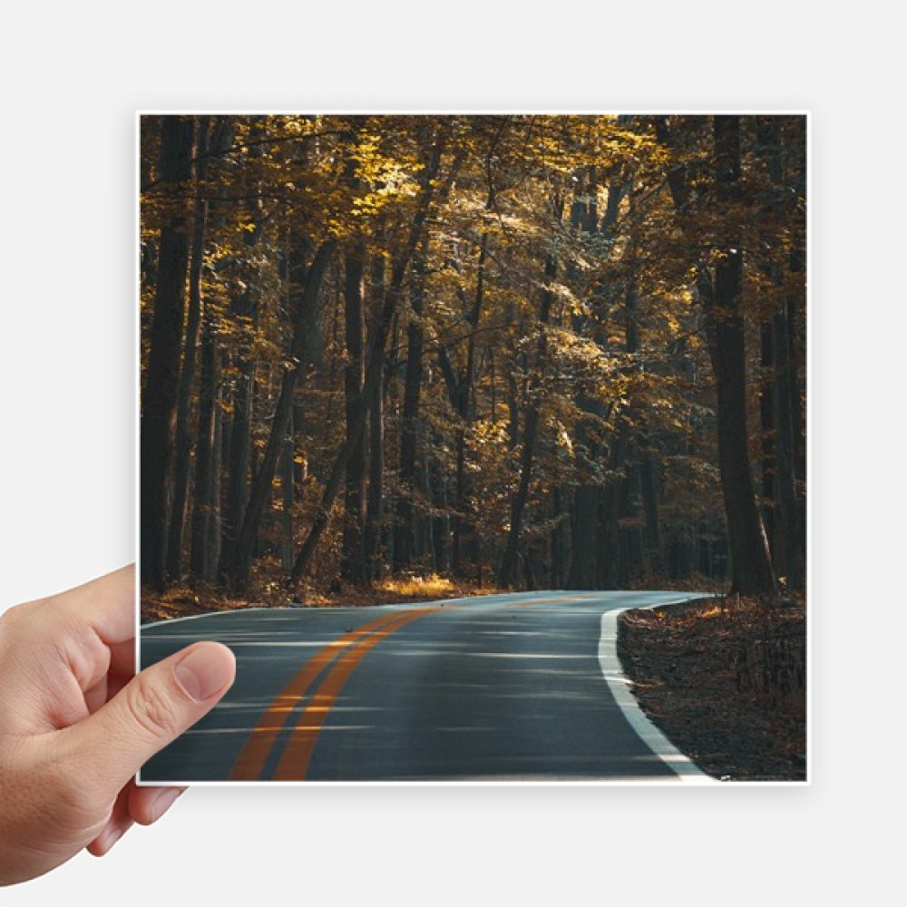 Autocollant carré forest road 20cm lot de 4 stickers multicolores pour valise et mur