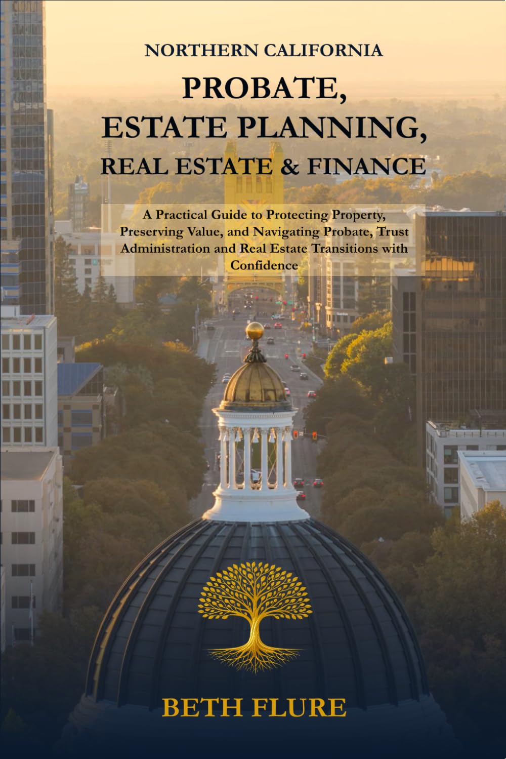 Northern California Probate, Estate Planning, Real Estate & Finance: A Practical Guide to Protecting Property, Preserving Value, and Navigating ... and Real Estate Transitions with Confidence