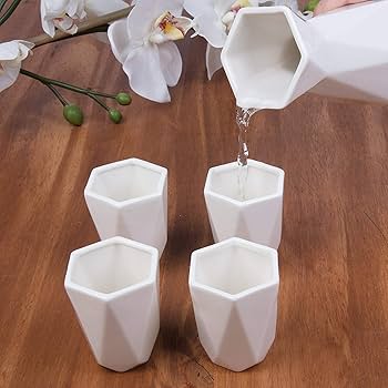 Amazon.com: Deco 5 Piece Traditional Porcelain Japanese Sake Set