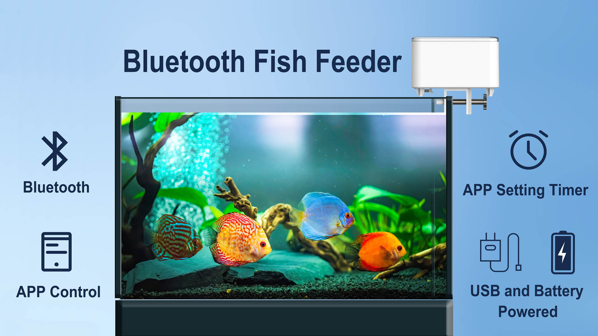 Amazon.com : GEZIEKID Bluetooth Automatic Fish Feeder for Aquarium